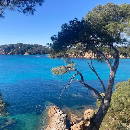 L'endroit Lejlighed Bormes-les-Mimosas