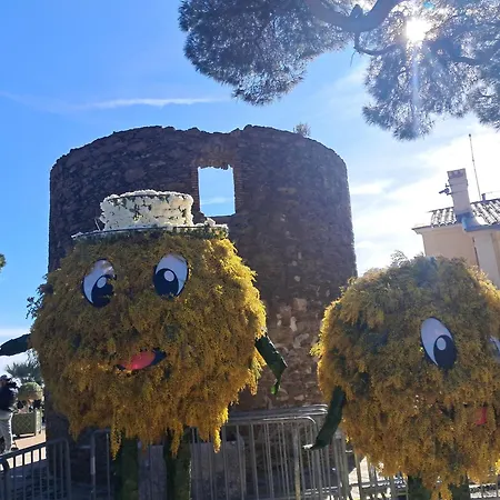 Apartamento L'endroit Bormes-les-Mimosas